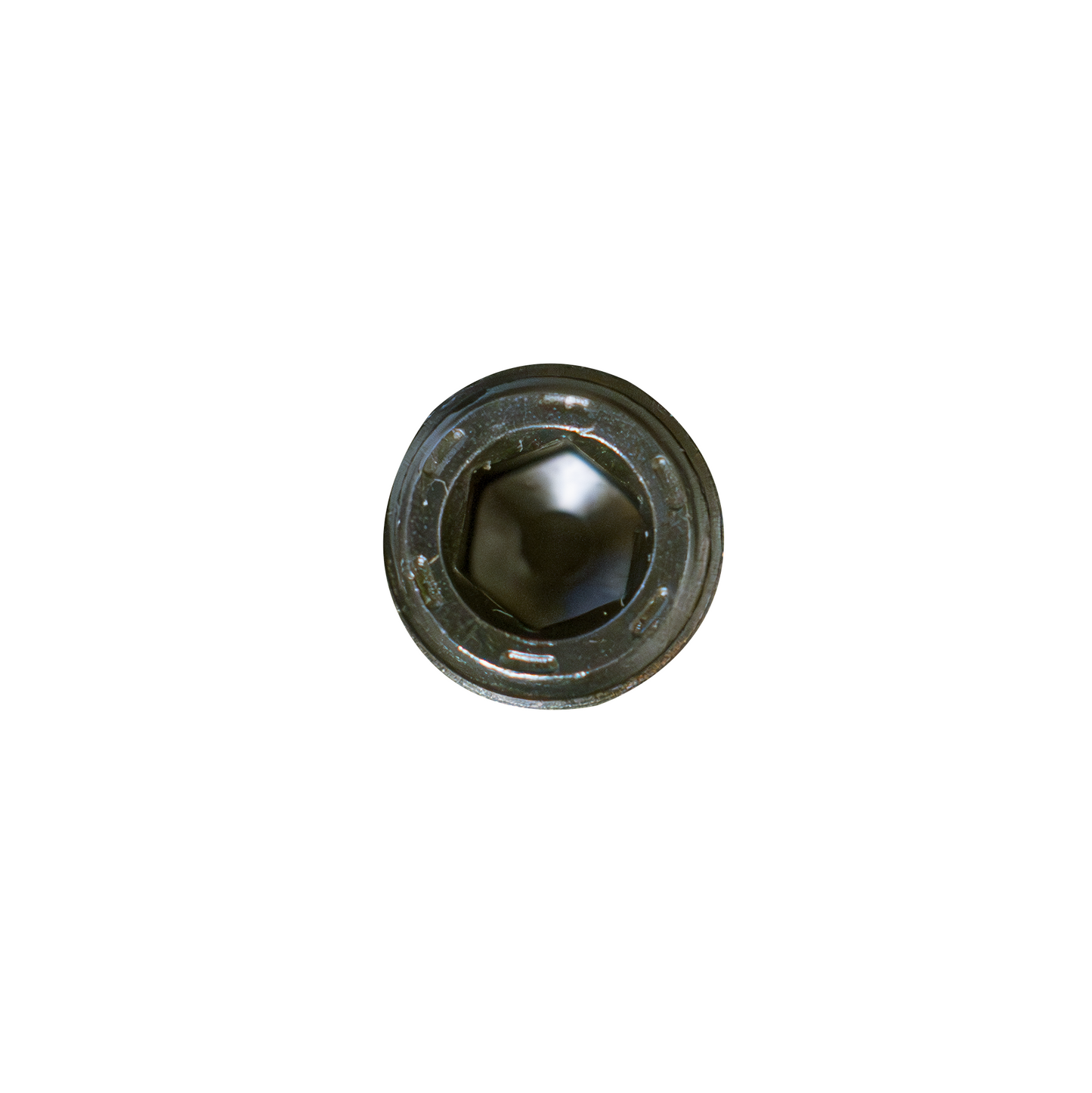 1/4" MPT Plug - Brass