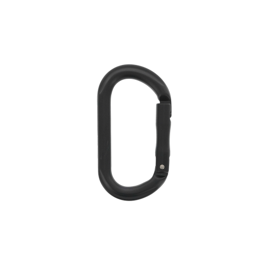 Carabiner (Individual)