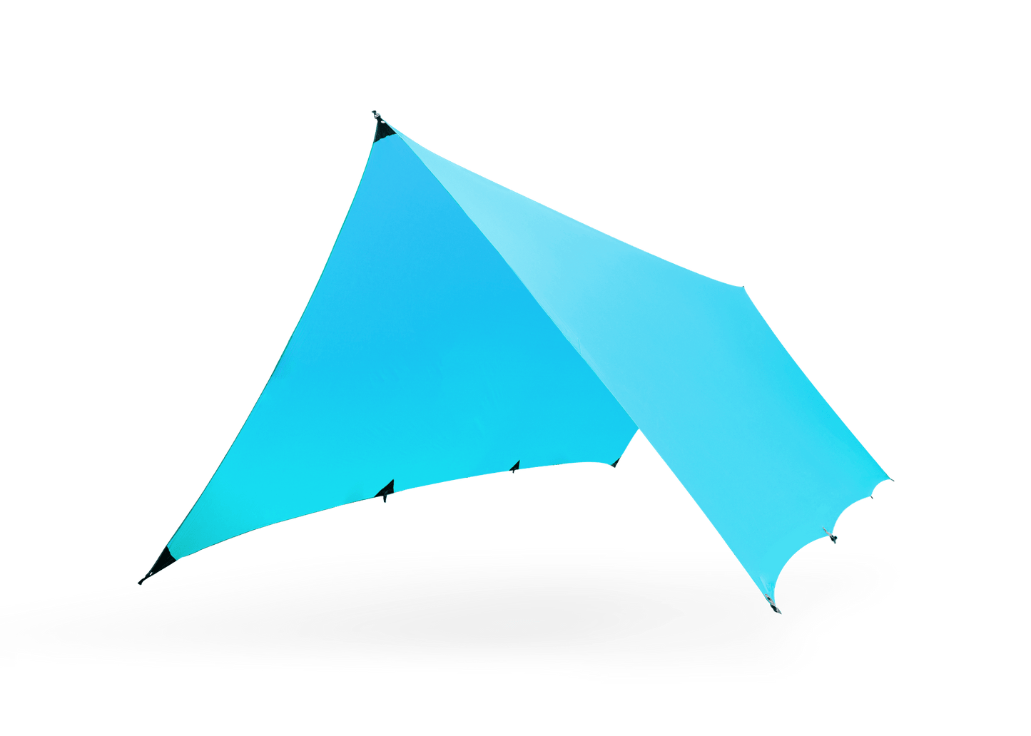 Kuhli